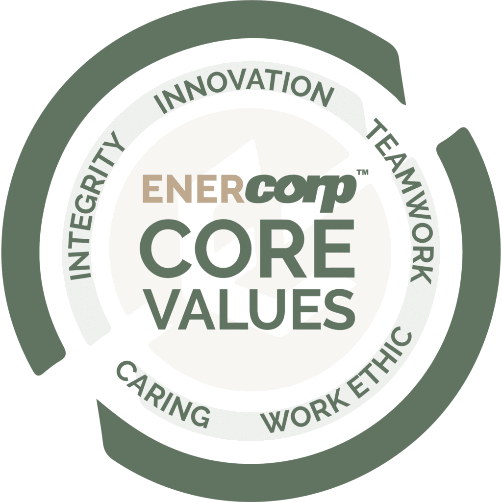 EnerCorp Core Values Icon