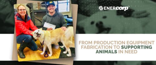 EnerCorp-Bandaged-Paws